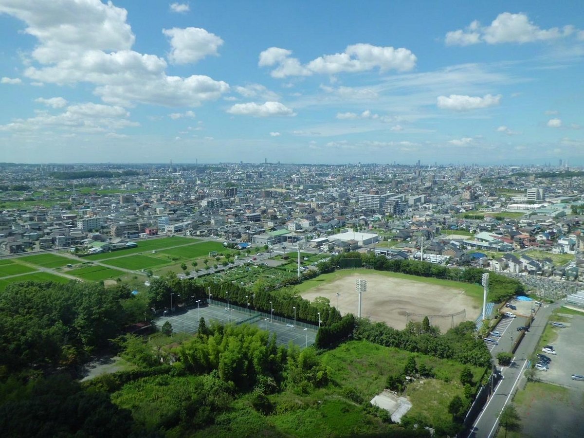 🏞️ 시로야마 공원(시로야마코엔) 이미지 8